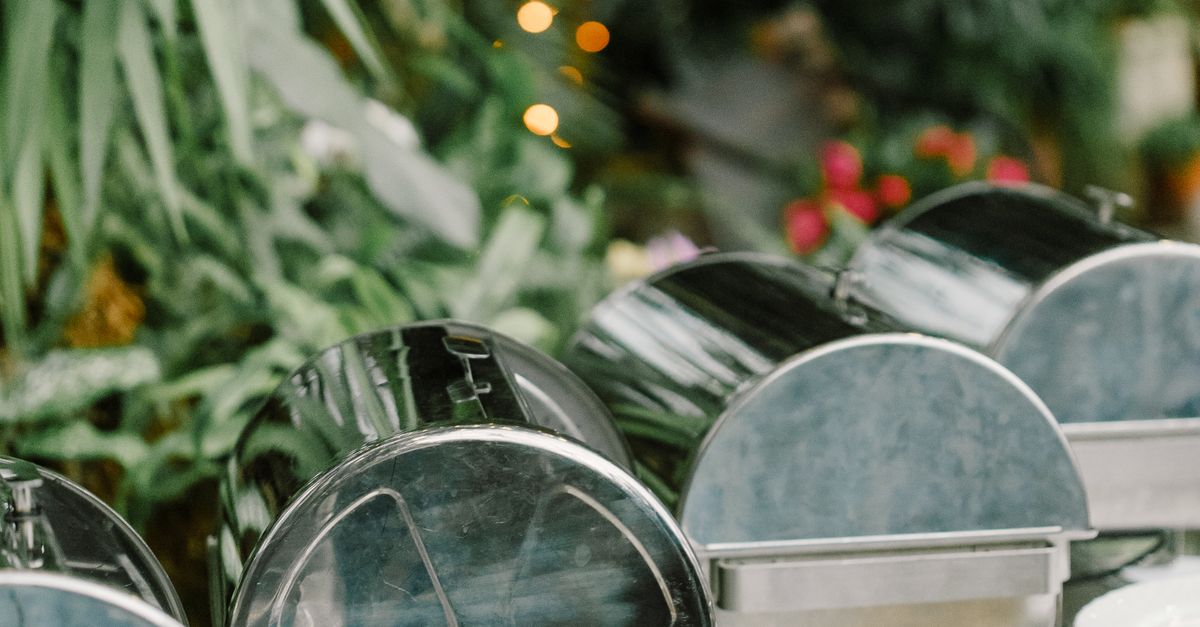Navigating Vegan and Vegetarian Choices for Your Wedding Menu